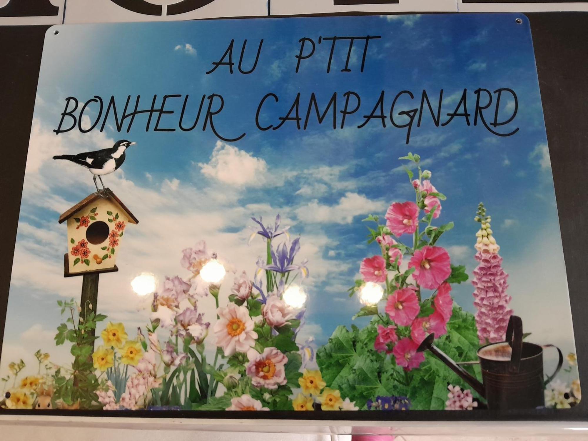 Chambres D Hotes Au P'Tit Bonheur Campagnard Jarnosse Extérieur photo